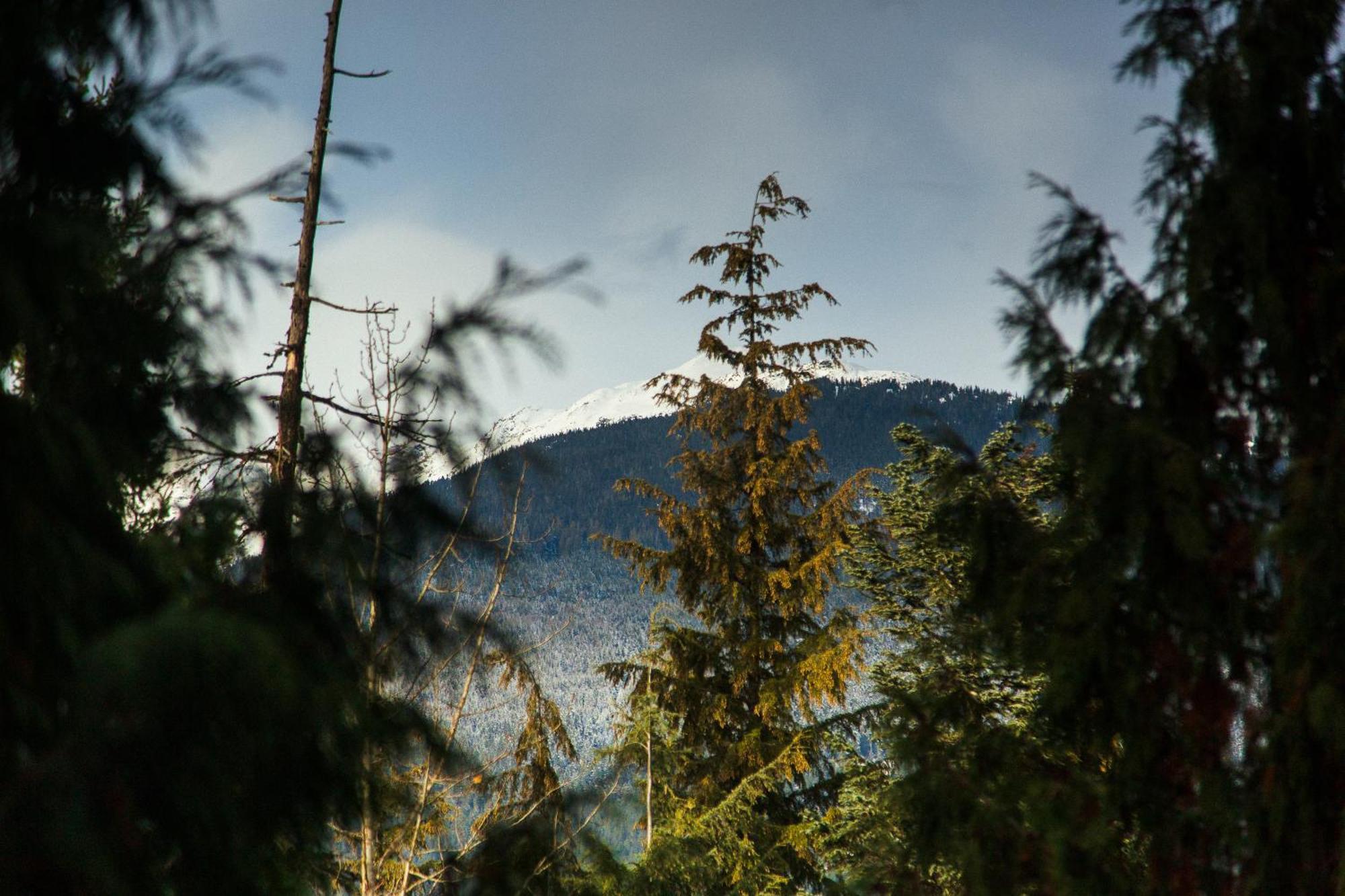 1br Next To Slopes On Blackcomb W Pool & Hot Tub Appartement